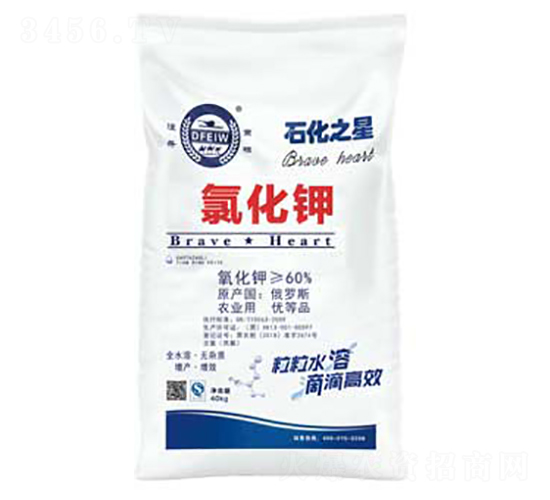 �Ȼ��-ʯ��֮��-�춦