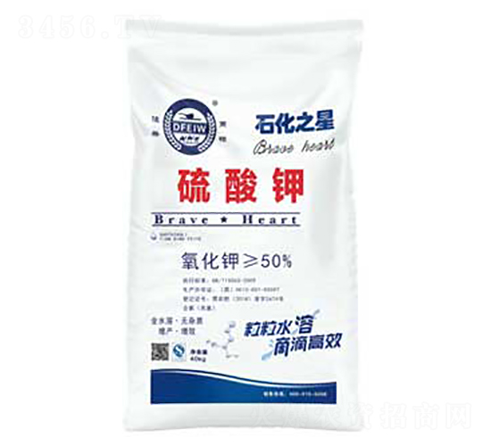 �����-ʯ��֮��-�춦