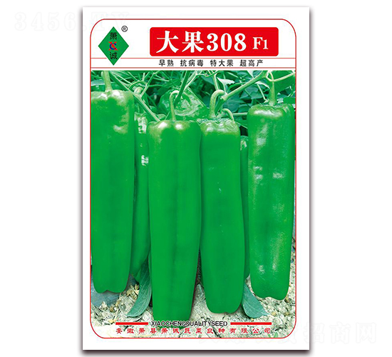 ���308-�ݽ��N��-ʒ�\