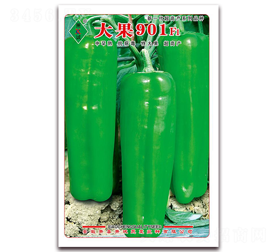 ���901-�ݽ��N��-ʒ�\