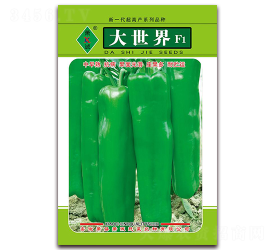 ������-�ݽ��N��-ʒ�\(ch��ng)