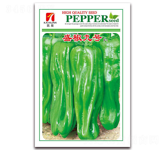 ʢ����̖-�ݽ��N��-ʒ�\