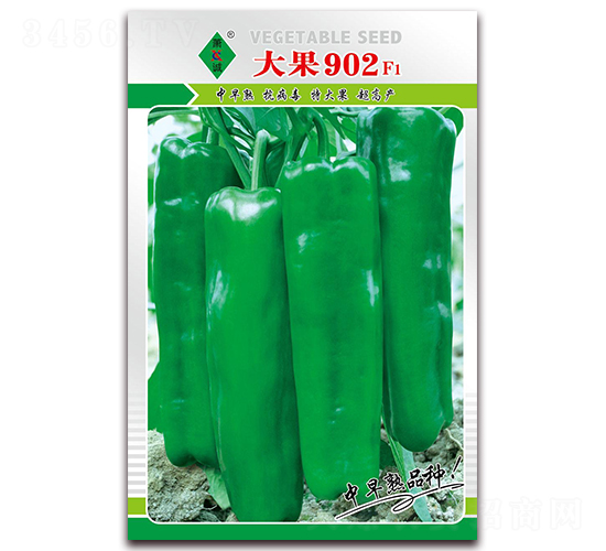 ���902-�ݽ��N��-ʒ�\(ch��ng)