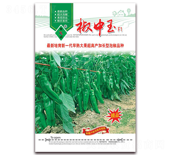 ������-�ݽ��N��-ʒ�\(ch��ng)