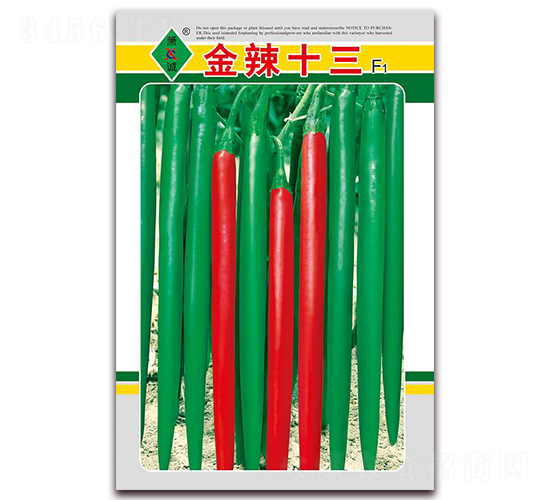 ����ʮ��-�����N��-ʒ�\