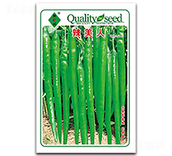 ������-�����N��-ʒ�\