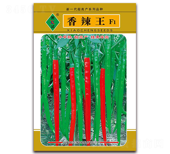 ������-�����N��-ʒ�\