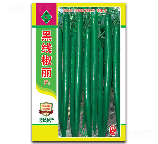 �ھ�����-�����N��-ʒ�\