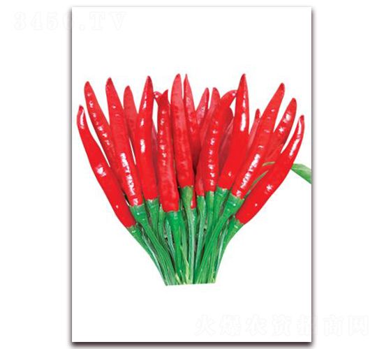 �n���쌚-���콷�N��-ʒ�\