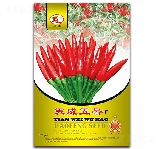 ������̖-���콷�N��-ʒ�\