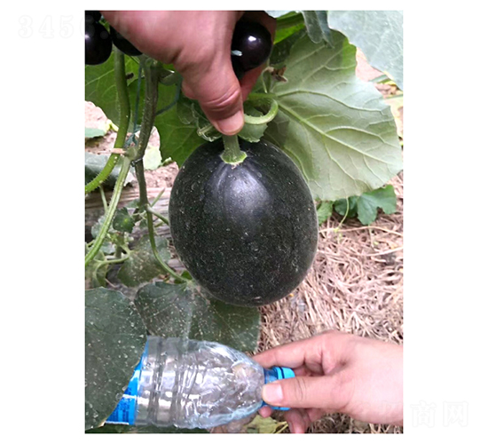 ����ī��-��ϷN��-��V�r(n��ng)�I(y��)