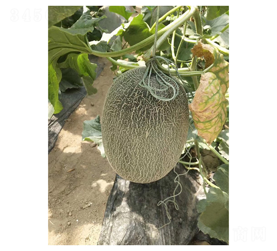 ����M1M6-��ϷN��-��V�r(n��ng)�I(y��)