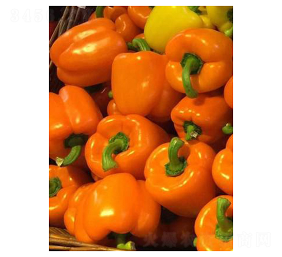 �����Z-�����N��-��V�r(n��ng)�I(y��)