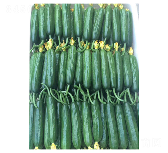 ����3966-ˮ���S�ϷN��-��V�r(n��ng)�I(y��)