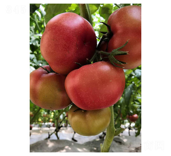 ��۷�-5-���ѷN��-��V�r(n��ng)�I(y��)