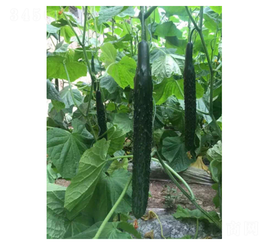 ������D19-�S�ϷN��-��V�r(n��ng)�I(y��)