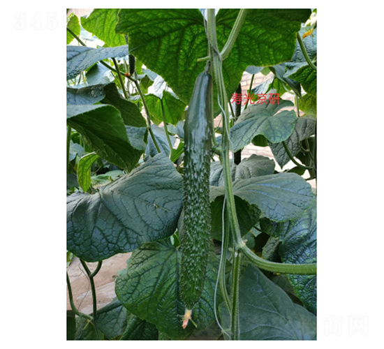 ����2016-�S�ϷN��-��V�r(n��ng)�I(y��)