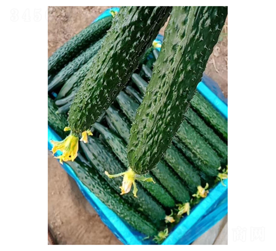 ����778-�S�ϷN��-��V�r(n��ng)�I(y��)