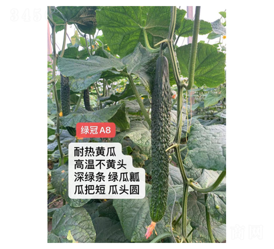 �G��A8-�S�ϷN��-��V�r(n��ng)�I(y��)