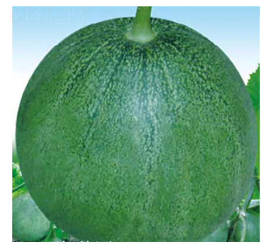 ���-��ϷN��-���؈@ˇ