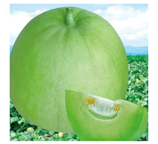 ������-��ϷN��-���؈@ˇ