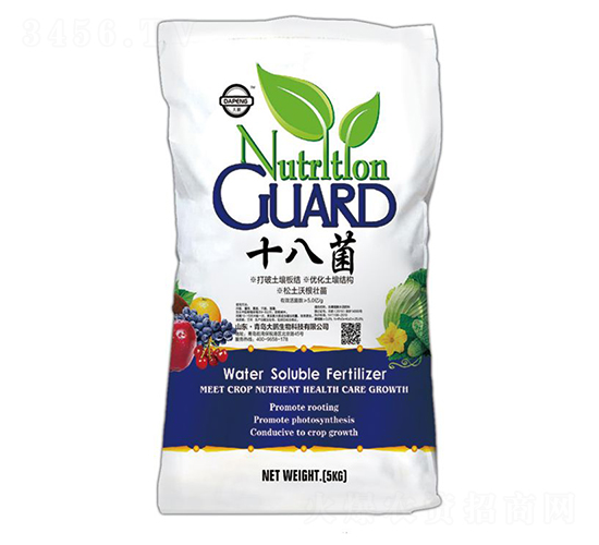 ʮ�˾�-���i����