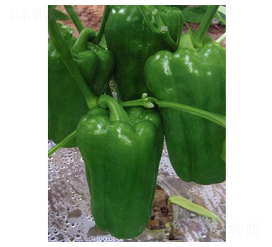 ���᠖-�A���N��-�֮���r(n��ng)�I(y��)