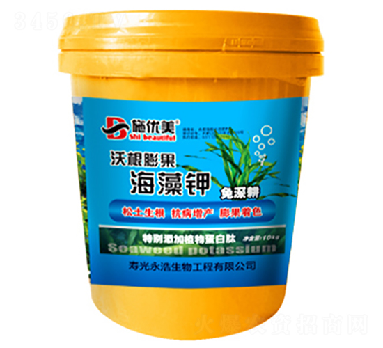 �ֺ���������-��������