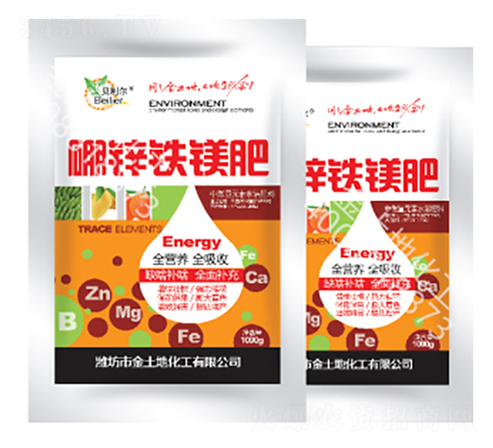 1000g���\�F�V��-������