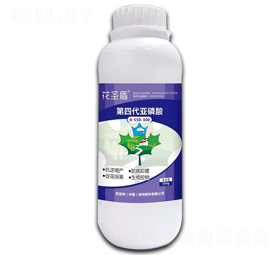 ���Ĵ�������0-550-300-��ʥ��-�����