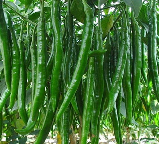 �����N��-��ϲ�r(n��ng)�I(y��)