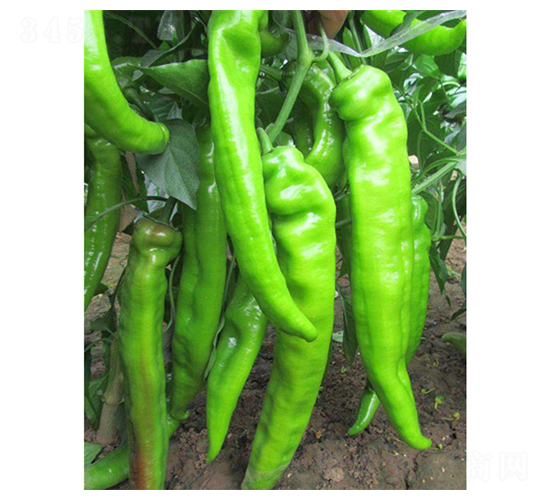 �⽷�N��-��ϲ�r(n��ng)�I(y��)