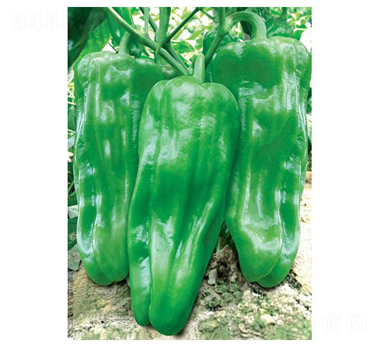 �����N��-��ϲ�r(n��ng)�I(y��)