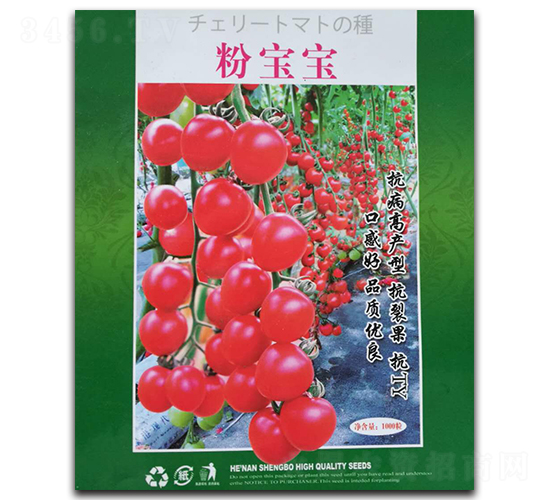 �ی���-С�ۙ��ҷ��ѷN��-��ϲ�r(n��ng)�I(y��)