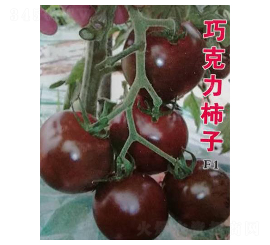 �ɿ������ѷN��-��ϲ�r(n��ng)�I(y��)