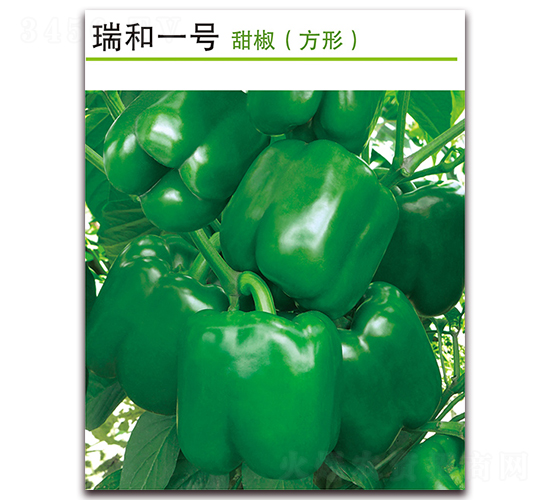 ���һ̖-�𽷷N��-������