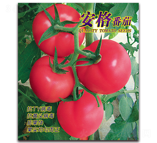 ������-���ѷN��-������