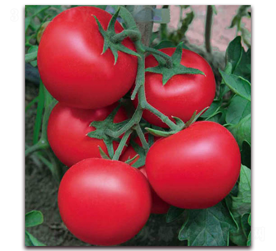 �{��101-���ѷN��-������