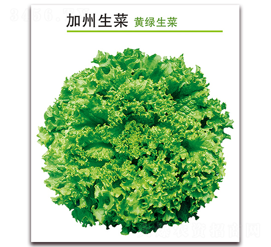 ��������-���˷N��-������