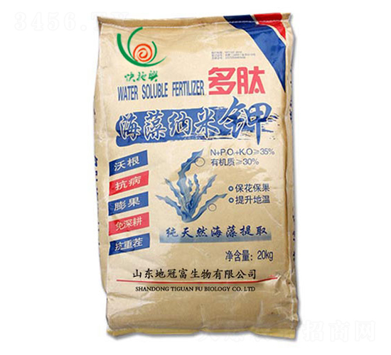 ����{���-�عڸ�