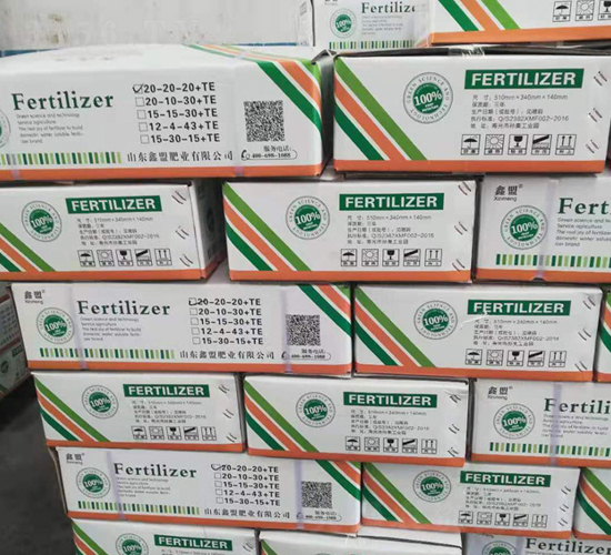 �_ʩ��-�����o(j��)�ʘI(y��)