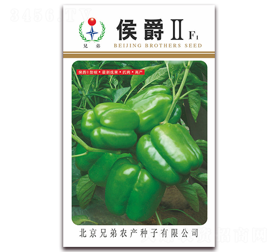 �����-�����N��-�ֵ�