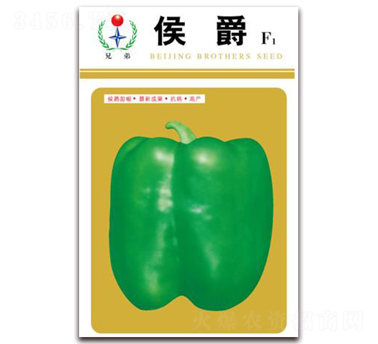 ���-�����N��-�ֵ�