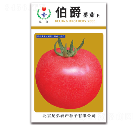 ����-���ѷN��-�ֵ�