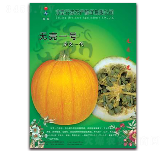 �o��һ̖-�ϹϷN��-�ֵ�