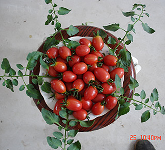 ��ϲ���ҷ���-���ѷN��-�M��N��