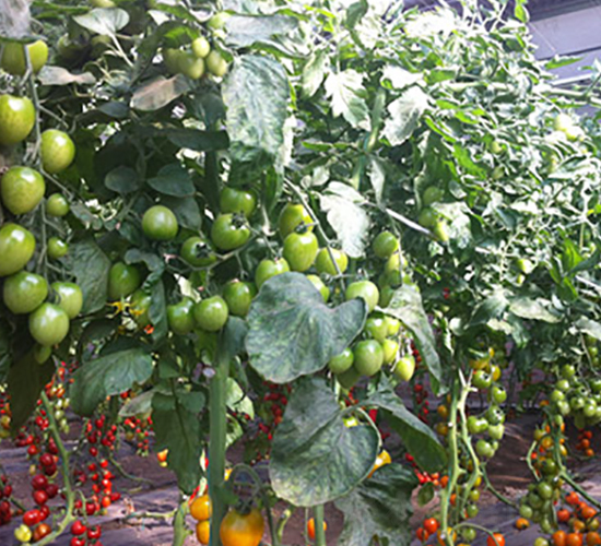 �M��2019���ҷ���-���ѷN��-�M��N��