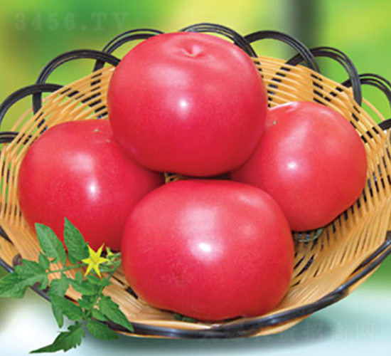 �ݷ۶�̖����-���ѷN��-�M��N��