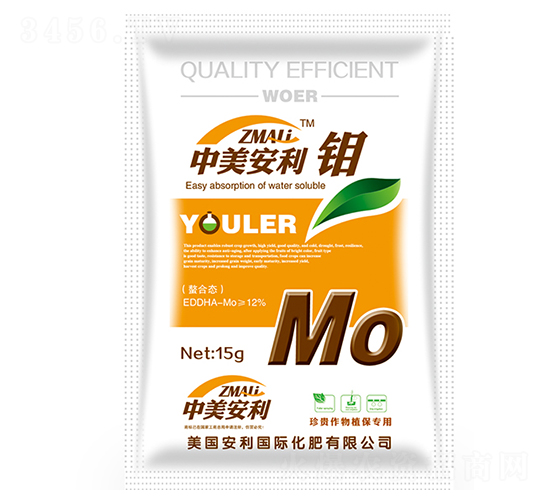 ���ϑB(t��i)�f��-��������-�֠��ʘI(y��)