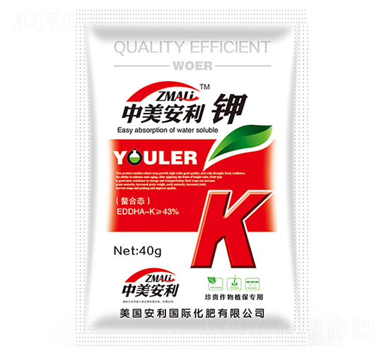 ���ϑB(t��i)⛷�-��������-�֠��ʘI(y��)